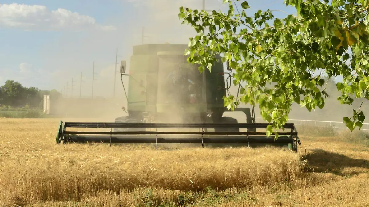 crisis agricultura